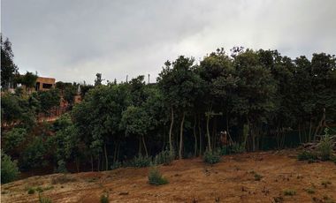 Alta plusvalía, terreno 2000 m2 en Los Pinos