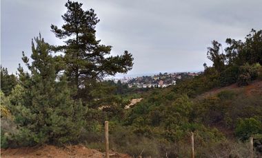Alta plusvalía, terreno 2000 m2 en Los Pinos