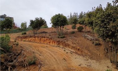 Alta plusvalía, terreno 2000 m2 en Los Pinos