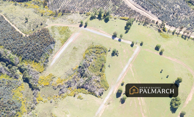 VENTA PARCELAS URBANAS EN  PENCO