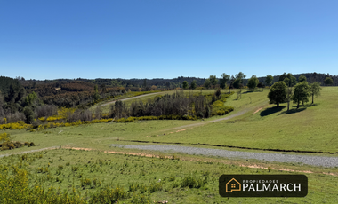 VENTA PARCELAS URBANAS EN  PENCO