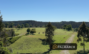 VENTA PARCELAS URBANAS EN  PENCO