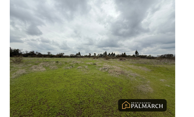 PARCELA EN VENTA SECTOR TALQUITA, PARRAL
