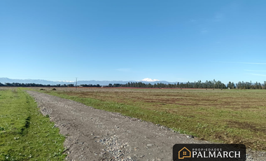 PARCELAS EN VENTA 5000M2  CAMINO A CATO CHILLÁN