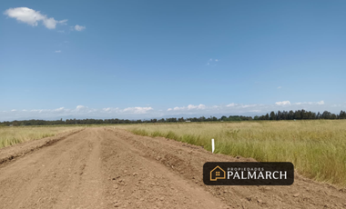 PARCELAS EN VENTA 5000M2  CAMINO A CATO CHILLÁN
