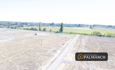 PARCELAS EN VENTA 5000M2  CAMINO A CATO CHILLÁN