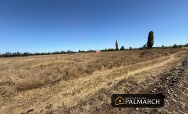 PARCELAS EN VENTA 5000M2  CAMINO A CATO CHILLÁN