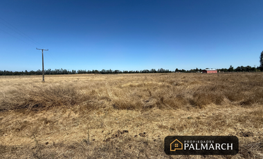 PARCELAS EN VENTA 5000M2  CAMINO A CATO CHILLÁN
