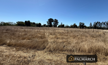 PARCELAS EN VENTA 5000M2  CAMINO A CATO CHILLÁN