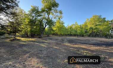 PARCELAS EN VENTA  LOS LLEUQUES  MONTAÑA Y NATURALEZA