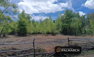 PARCELAS EN VENTA  LOS LLEUQUES  MONTAÑA Y NATURALEZA