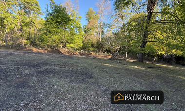 PARCELAS EN VENTA  LOS LLEUQUES  MONTAÑA Y NATURALEZA