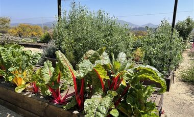 Parcela en Venta en Catapílco, Comuna de Zapallar (Valle Oculto)