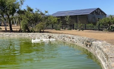 Parcela en Venta en Catapílco, Comuna de Zapallar (Valle Oculto)