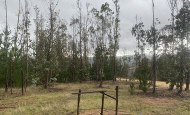 Parcela sector Cahuil ,pichilemu,