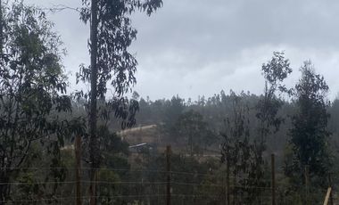 Parcela sector Cahuil ,pichilemu,