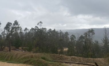 Parcela sector Cahuil ,pichilemu,
