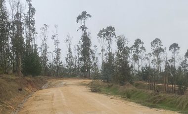Parcela sector Cahuil ,pichilemu,