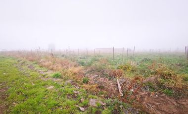 Terreno en Nogales de Requinoa.