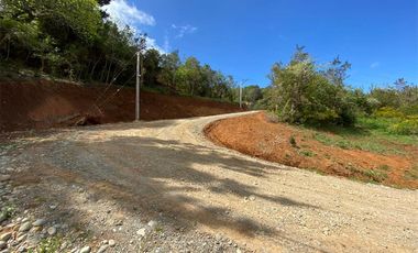 VALDIVIA VENDE PARCELA CON VISTA