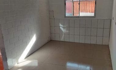 CIPRESES DE SANTA JULIA