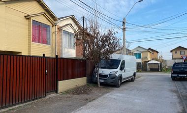 CIPRESES DE SANTA JULIA