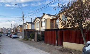 CIPRESES DE SANTA JULIA