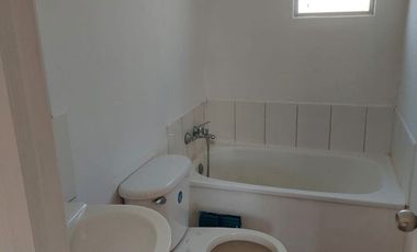 CIPRESES DE SANTA JULIA