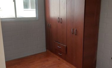 CIPRESES DE SANTA JULIA