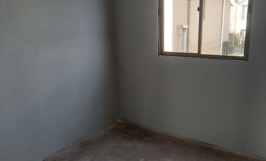 CIPRESES DE SANTA JULIA