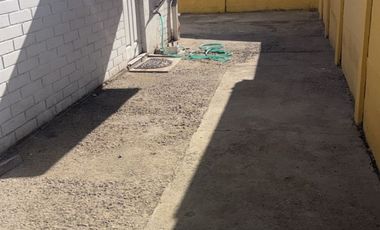 ALHUE CON NAVIDAD