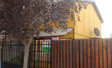 ALHUE CON NAVIDAD