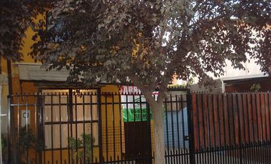 ALHUE CON NAVIDAD