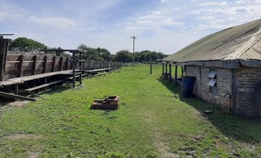 Campo en Federal 2.000 HAS ganadero
