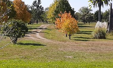 Campo en Federal 2.000 HAS ganadero