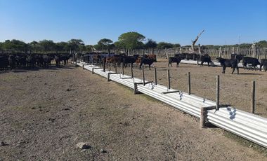 Campo en Federal 2.000 HAS ganadero