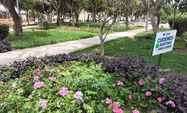 VENDO CASA EN ESQUINA, AVENIDA  ALEJANDRO BERTELLO, LIMITE PUEBLO LIBRE, CERCADO DE LIMA.