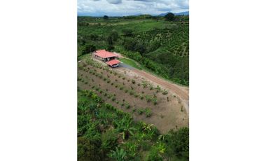 SE VENDE HERMOSA CASA CAMPESTRE PARA ESTRENAR EN ALCALA VALLE