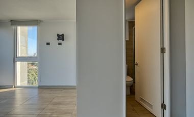 Lazo I [2569-4]