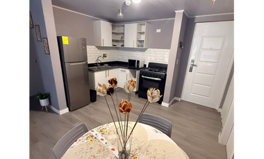 SE ALQUILA APARTAMENTO EN BRISAS DEL GOLF PH LAGUN FULL AMOBLADO