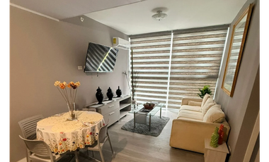 SE ALQUILA APARTAMENTO EN BRISAS DEL GOLF PH LAGUN FULL AMOBLADO