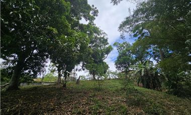 Se Vende Casa con amplio terreno en Arraiján, Panamá Oeste