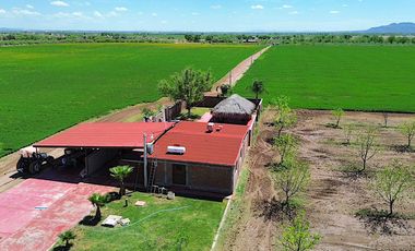 Venta de Rancho Agrícola por Cd. de Meoqui, Artbol