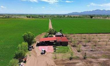 Venta de Rancho Agrícola por Cd. de Meoqui, Artbol