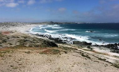 Sitio en Venta en Punta de Choros