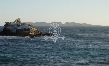 Sitio en Venta en Ruta D116 , Hostal El Portal de los delfines