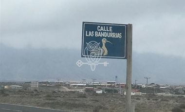 Sitio en Venta en Ruta D116 , Hostal El Portal de los delfines