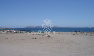 Sitio en Venta en Ruta D116 , Hostal El Portal de los delfines