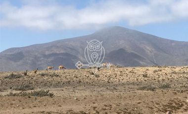 Sitio en Venta en Ruta D116 , Hostal El Portal de los delfines