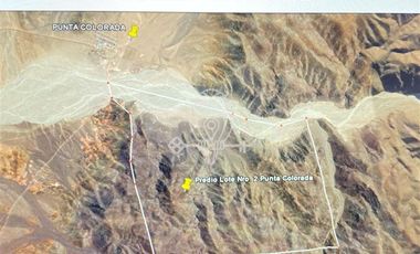 Agrícola en Venta en Panamericana Norte, km100